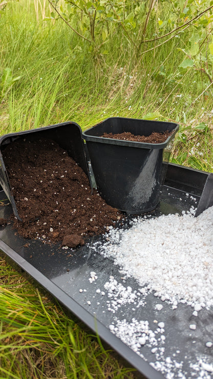 Perlite (Standard Grade) 2-5mm